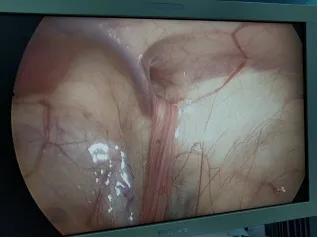 神秘之旅,神秘之旅视频