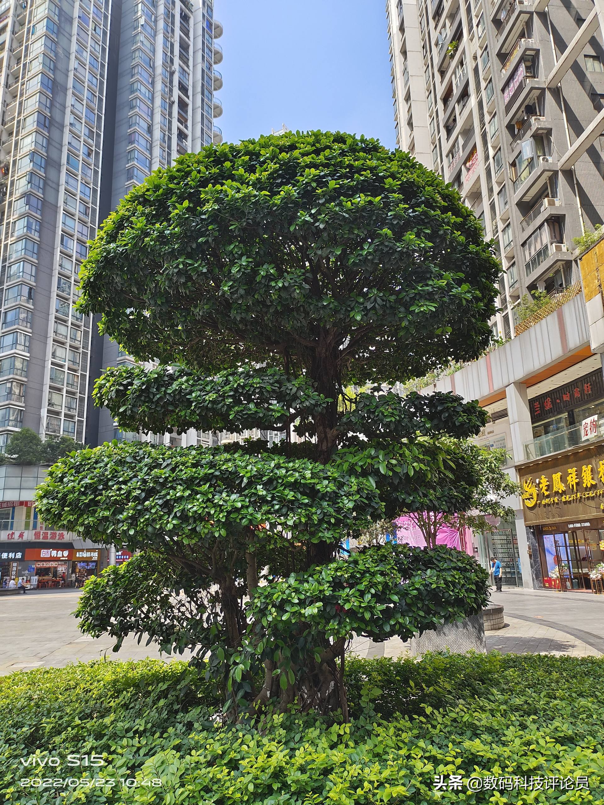 vivos15是用的骁龙870巅峰版吗,vivos15骁龙870巅峰版与普通版