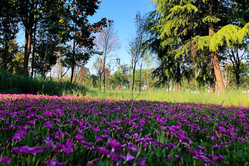 驰骋绿茵巅峰决战！2022太白酒·百强企业足球锦标赛邀你来“战”