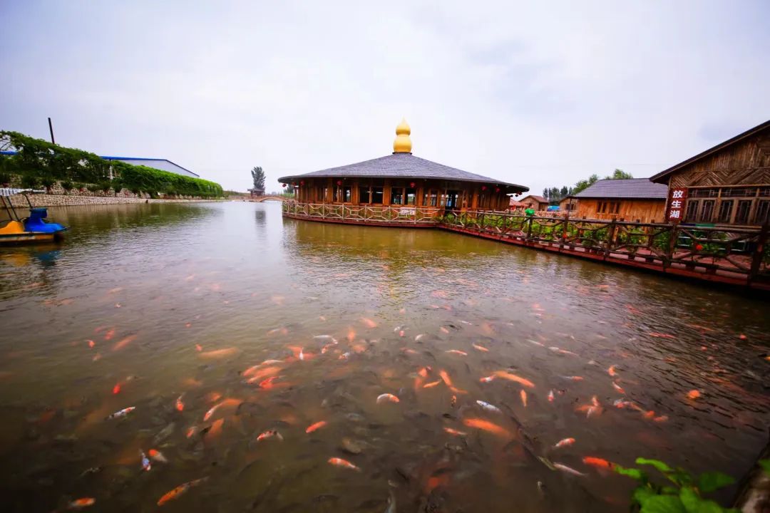 国庆假期秋游鞍山丨鞍山这些亲子游打卡点！家长们赶紧收好备用