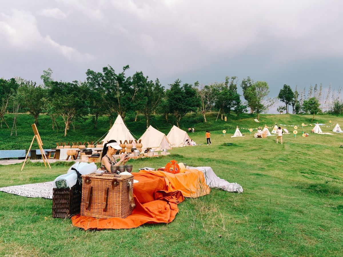 澳洲连蚂蚁都是狠角色？父子露营发现蚂蚁撕咬毒蛇，差点只剩白骨