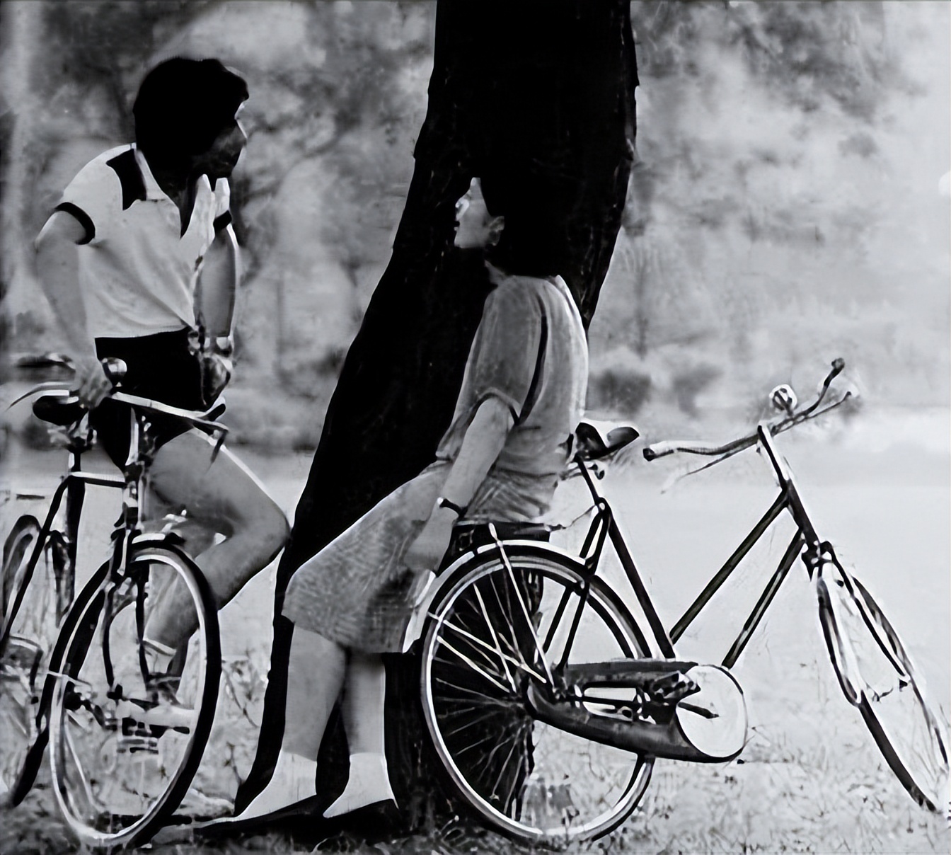 50年代凤凰老式双缸自行车多少钱,八十年代凤凰自行车现值多少钱