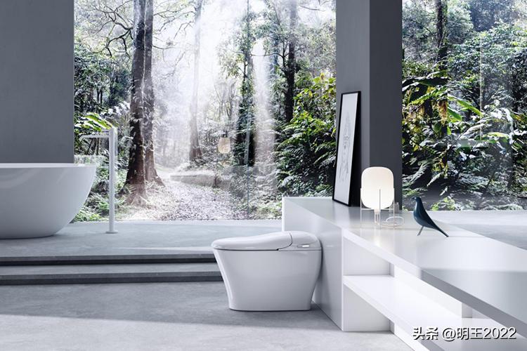 台州智能马桶品牌,台州智能马桶品牌价格表