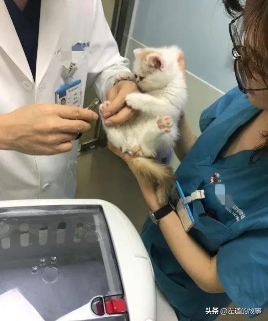 小生意大全,小生意项目知识大全