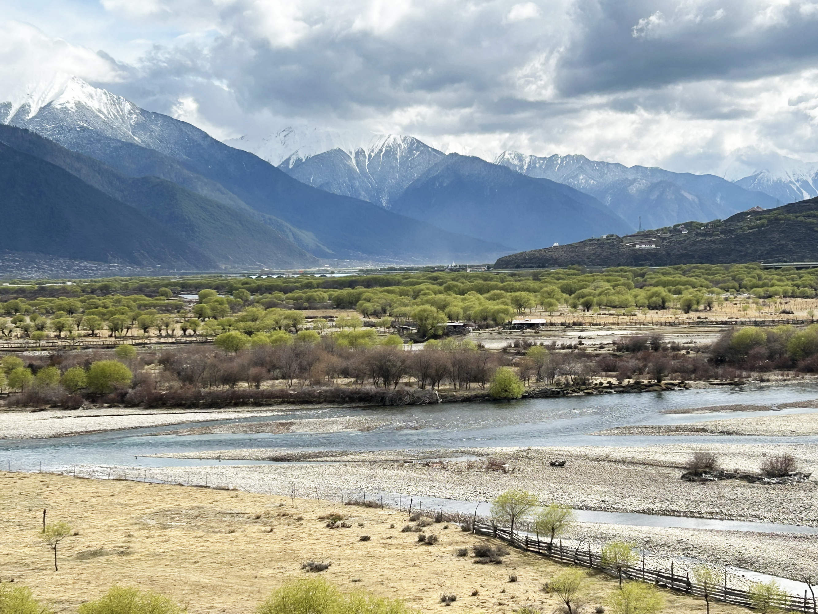 雪域林芝桃花图片 (在雪域江南西藏林芝邂逅漫山桃花)