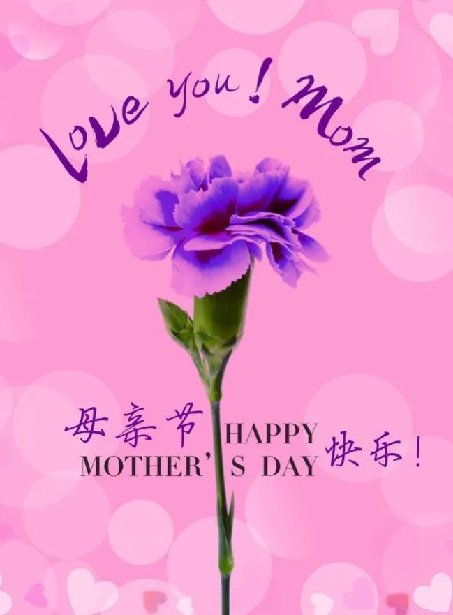 母亲节感恩图片素材,母亲节感恩母亲的图片文字