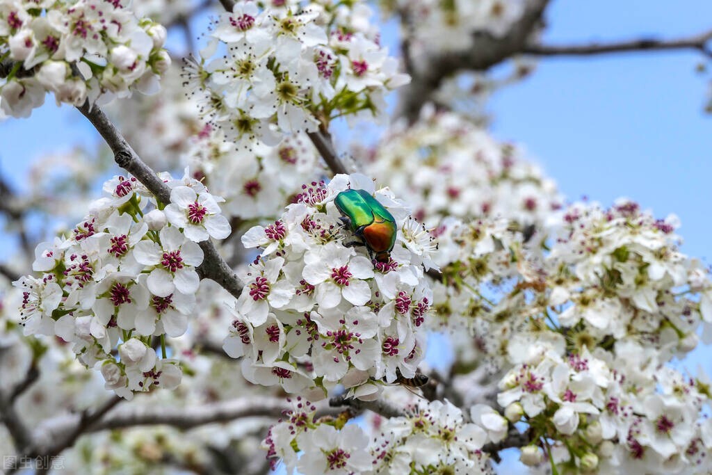 零星记忆扑面而来,零星散落的记忆