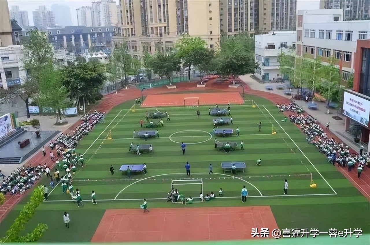 蓉e升学,成华区小学升学率排行