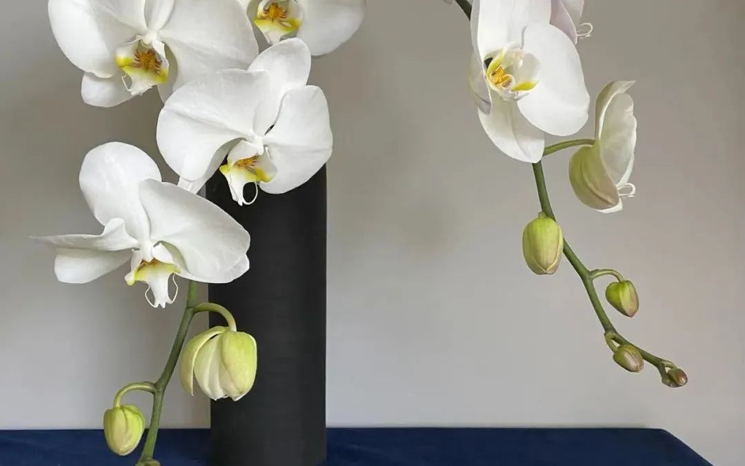 鲜花在水里能养几天会死,新加坡盆栽花卉怎么养