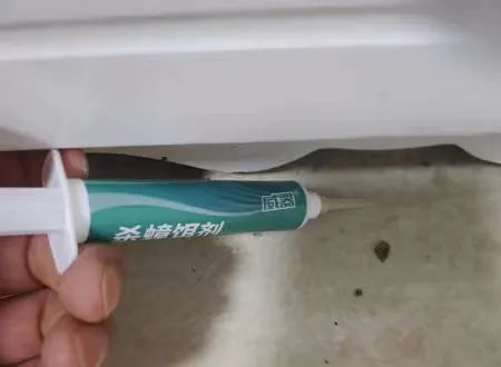 家里蟑螂太多怎么才能根除蟑螂,蟑螂诱饵可以根除蟑螂吗