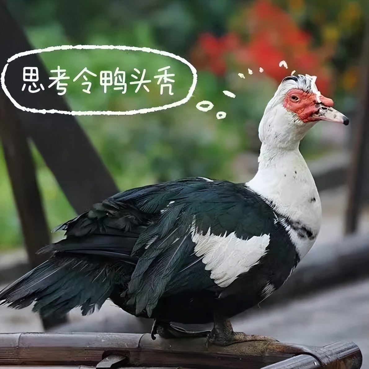 阳转阴了之后切记做的11件事,阳转阴后别急着运动