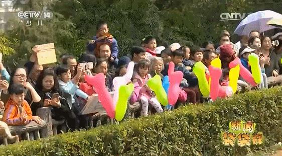 全网最近大事件,最大丑闻案件