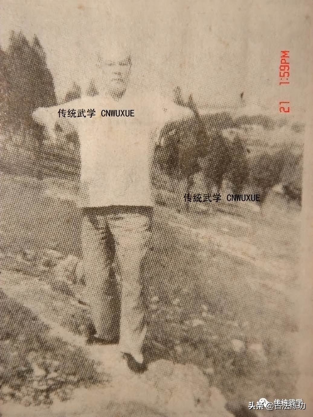 意拳发力原理,意拳实战步法手法和打法