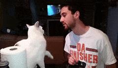 救命！猫咪太黏我了怎么办？