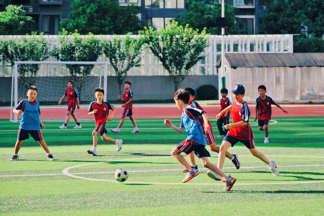 卷不动的现在，拿什么面对未来？这位校长说，给了孩子这三种知识就不用怕