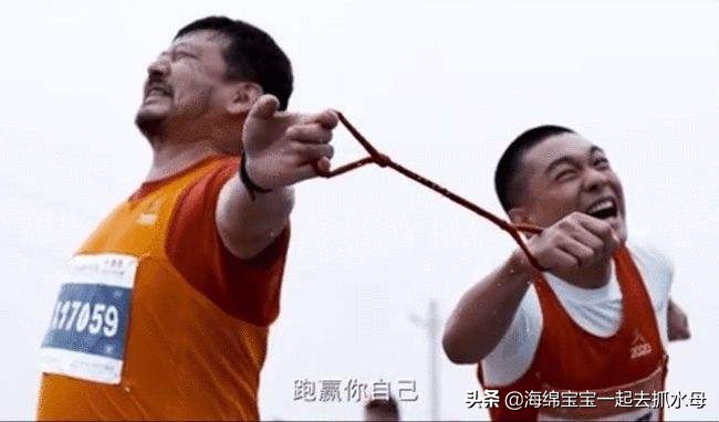 竞技类电视剧,竞技题材影视剧