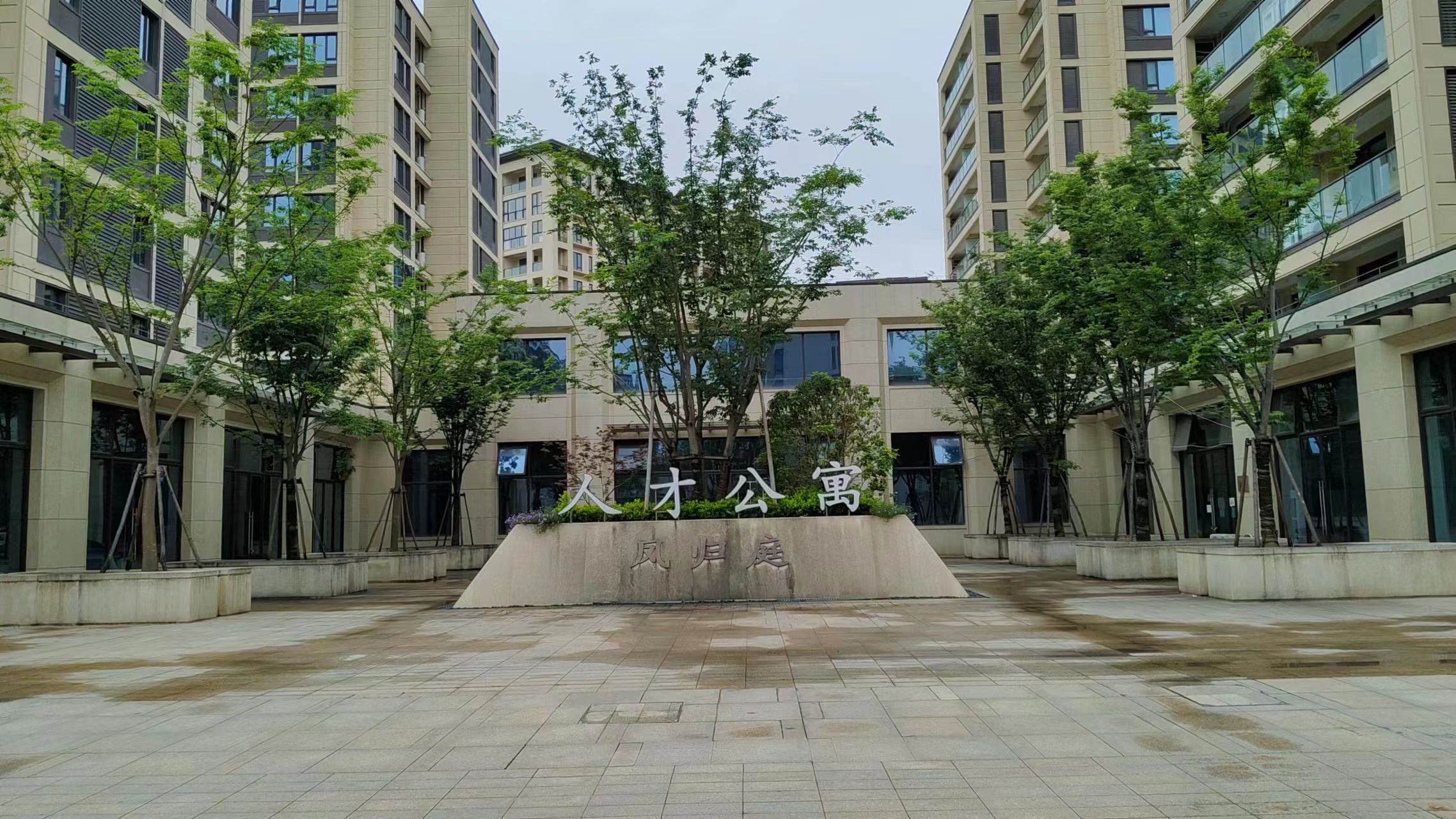 vivoiqooz6自拍效果,vivoiqooz6手机怎么拍照好