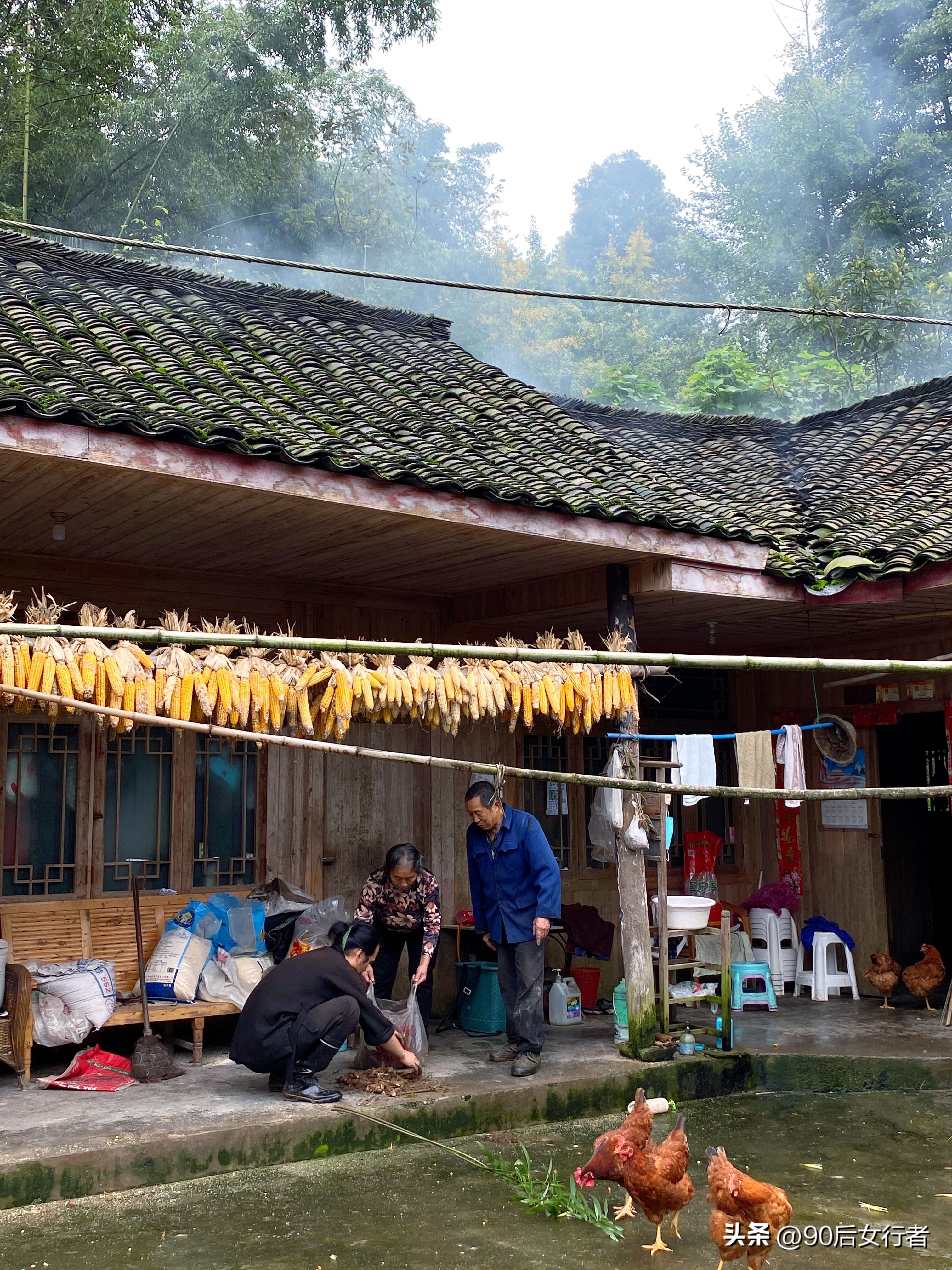 走进山间的小路感受大自然,成都深山老林旅游最好去处