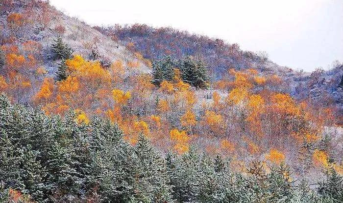 宣化周边野外游好地方,宣化周边野游
