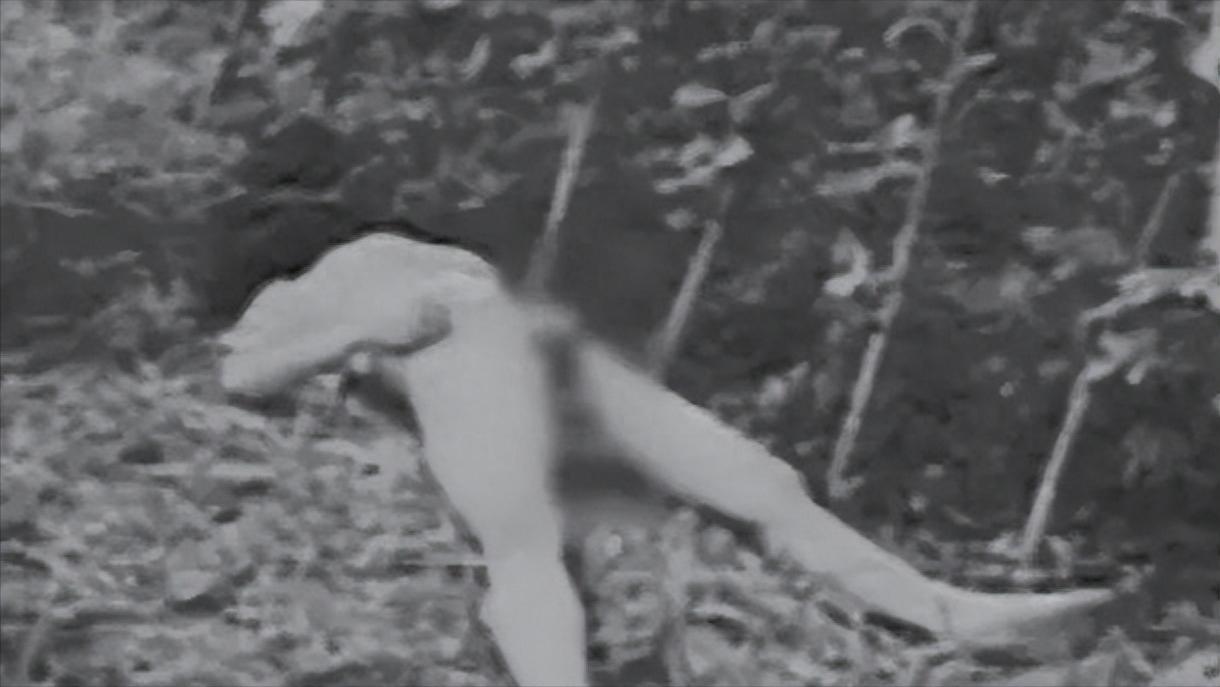 求爱不成当街捅杀女子案庭审,求爱不成当街捅杀女子案