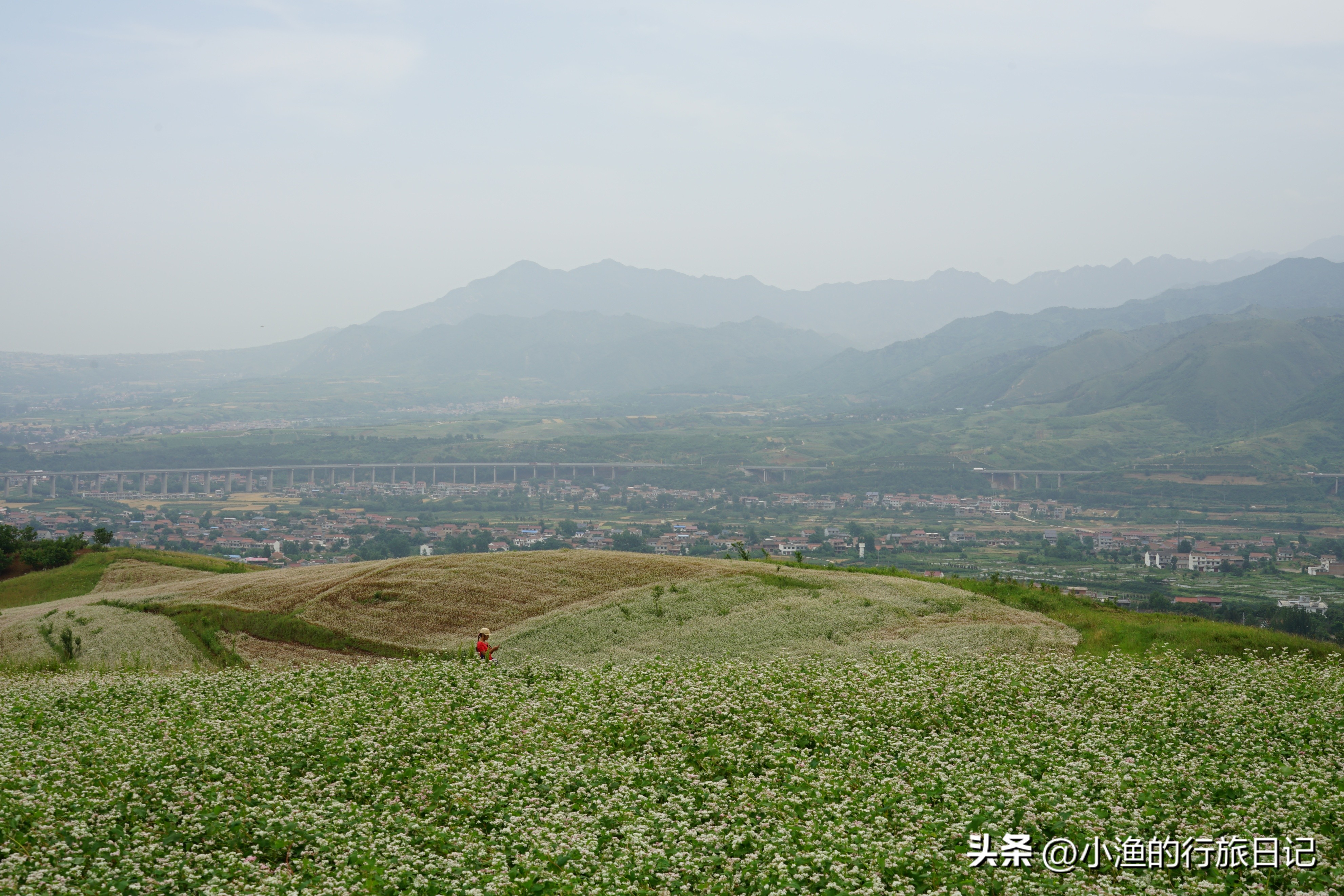 周末西安旅游攻略小众景点一日游,西安盛夏小众旅游攻略