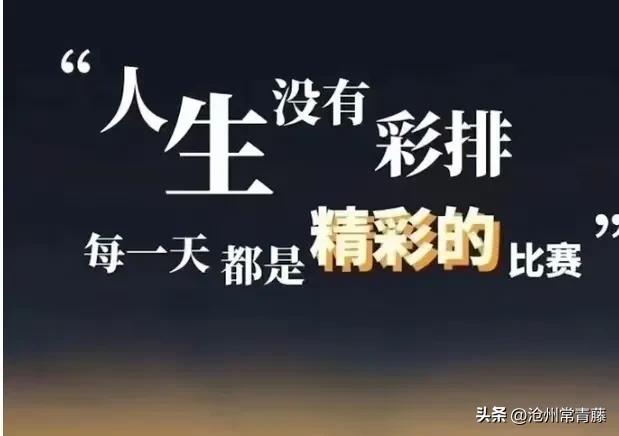 「沧州资讯」“夜享狮城”专线开通与“运河市集”开市的文化价值