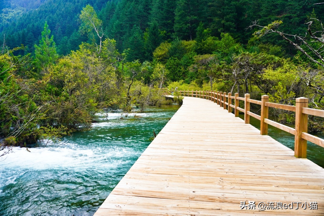 九寨沟里最美酒店,九寨沟顶级风景酒店