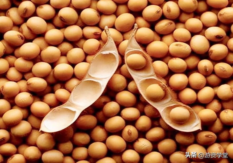 巴西大豆出口贸易现状及对策,巴西大豆对华出口