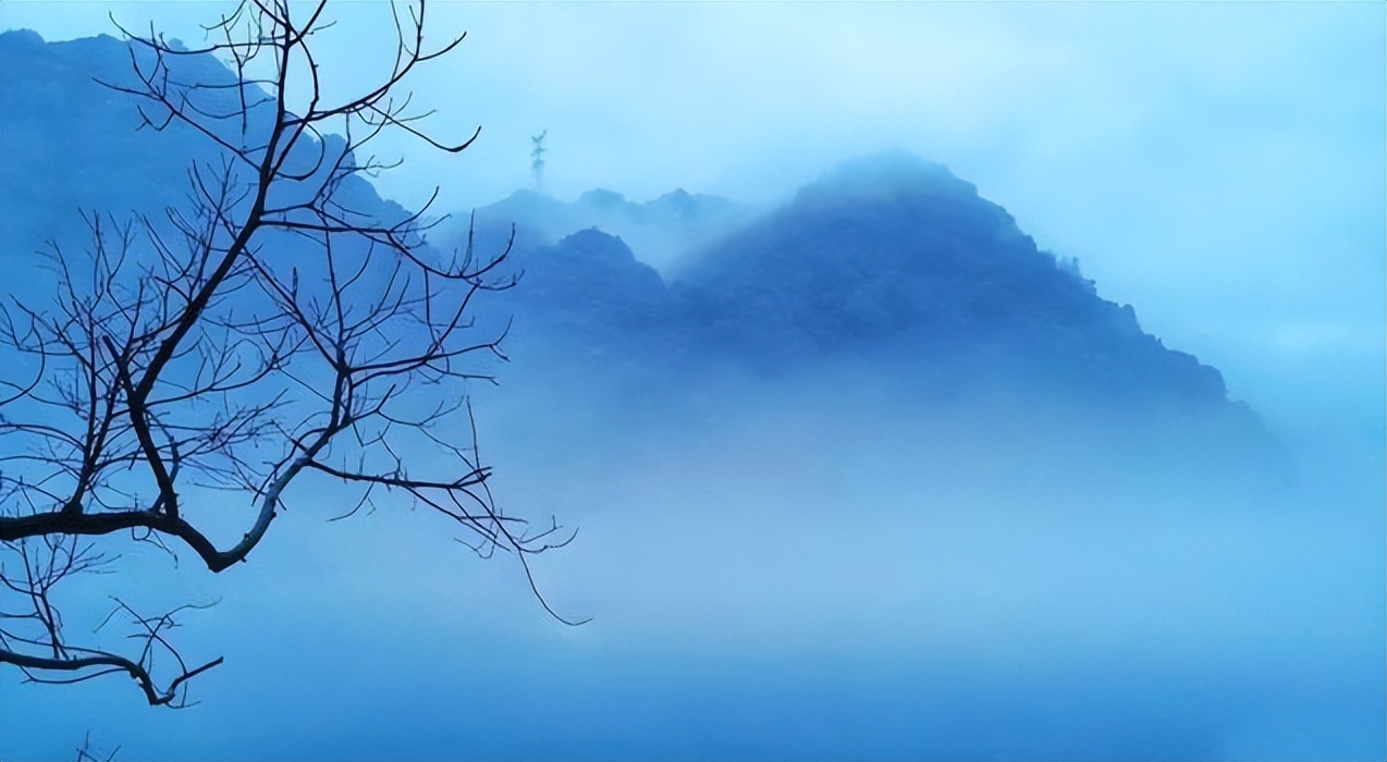 好诗凭快意，一念起惊鸿——梧桐院诗词第七期（五绝：诗事）