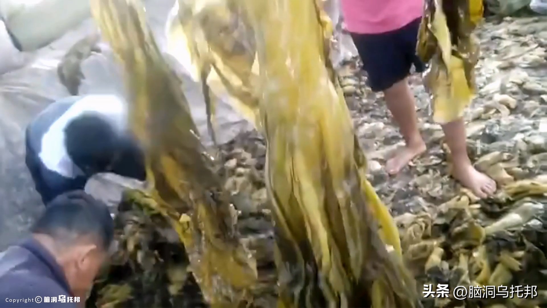 海天酱油回应添加剂争议,海天酱油添加剂是什么