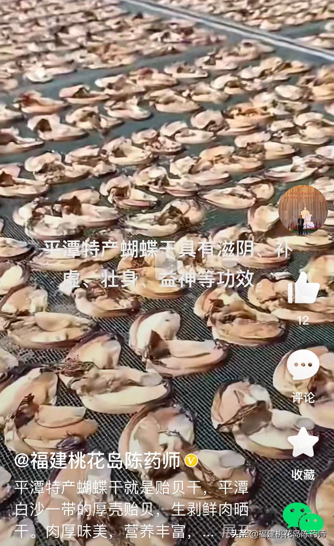 20味补阴中药的药性及功效