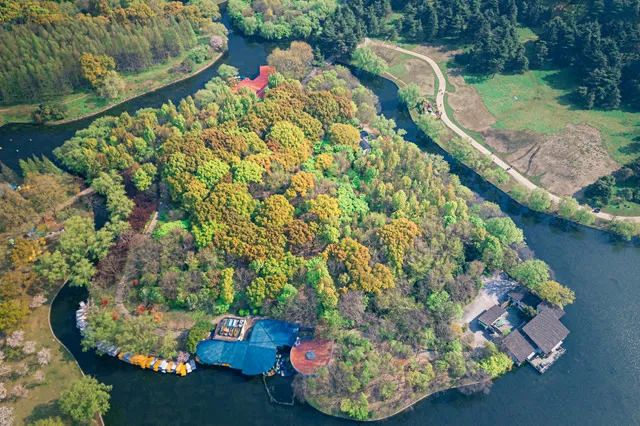 上海徐汇区示范幼儿园,上海有哪些宜居教育还好的区