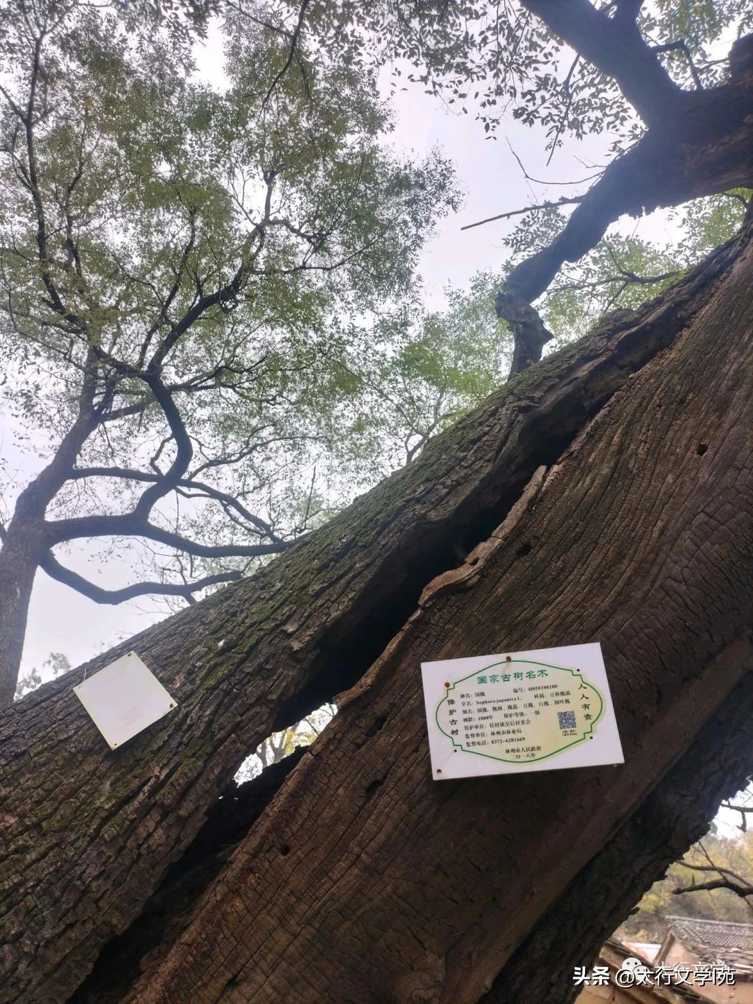 林州市洹河大峡谷风景区,洹河大峡谷散记