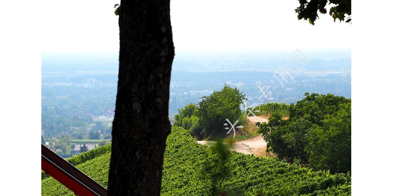 “姐，妈住院了，给5万”“你啥时候换妈了？我陪我妈逛街呢”