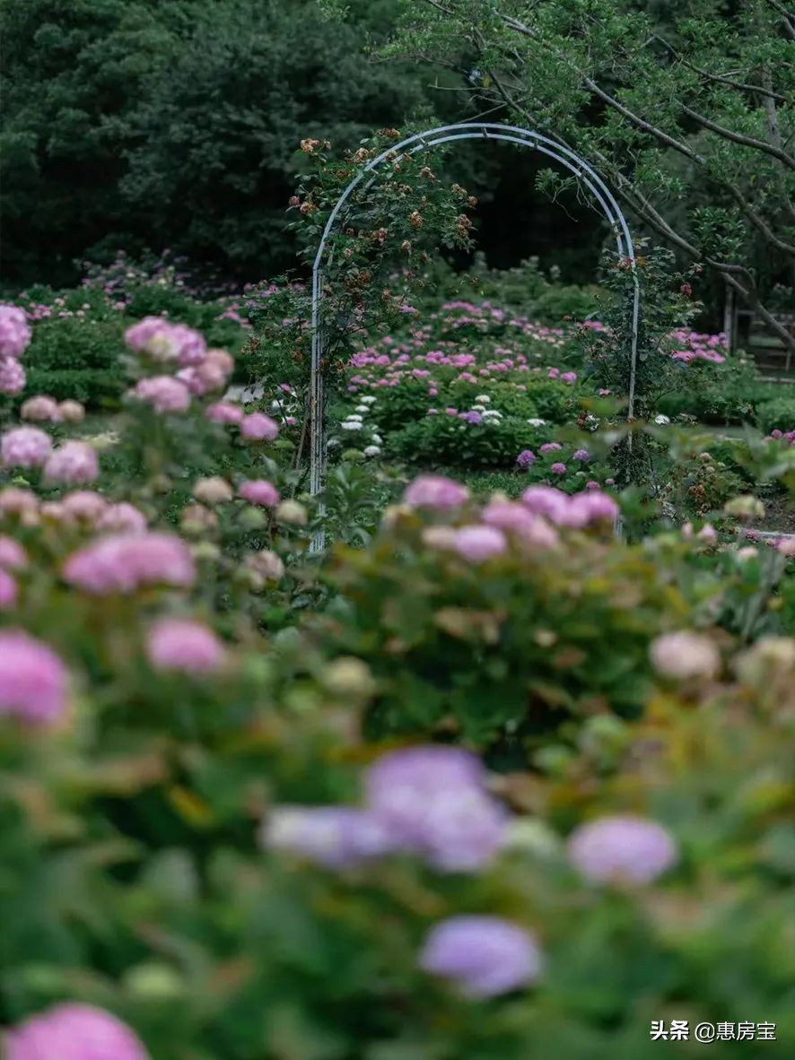 上海公园免费,上海免费公园排行