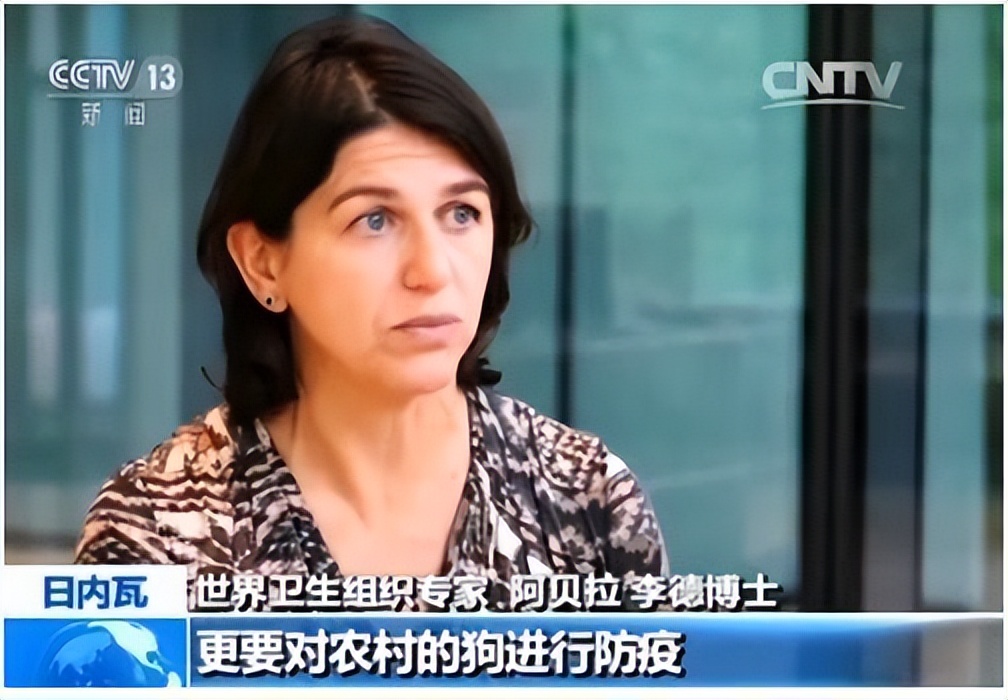 被狗咬到什么程度需要打针视频,被狗咬成什么样需要打狂犬疫苗