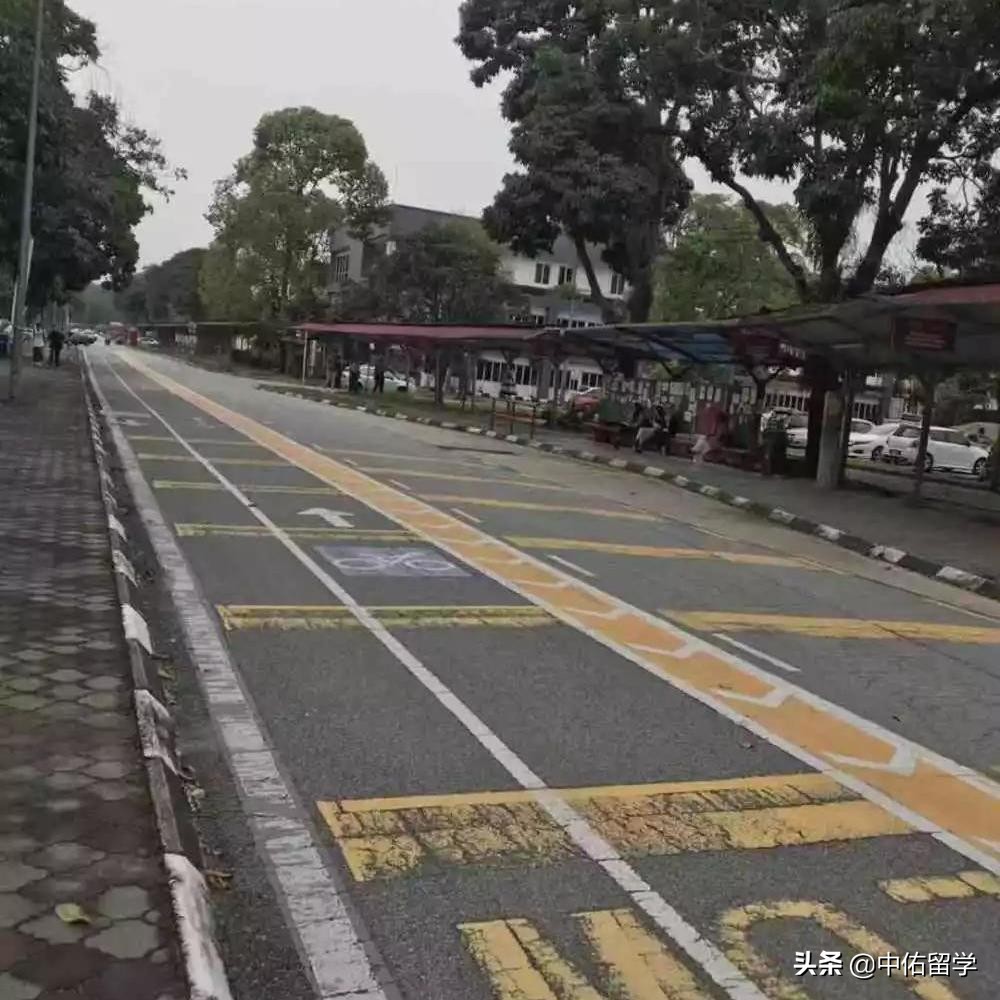 博特拉大学世界排名qs,2021马来西亚博特拉大学世界排名