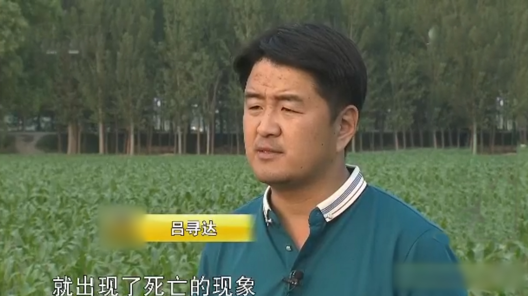 2009年，男子花6万买瘸腿病猪当宝贝养，8年后病猪帮他年入3000万