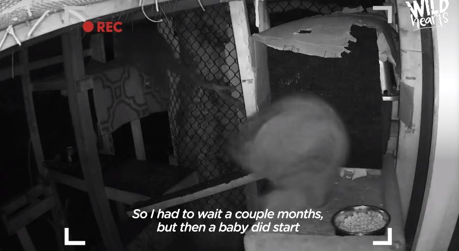 鍔犳嬁澶у皬娴g唺骞煎唇,鍔犳嬁澶у杺鍏诲皬娴g唺