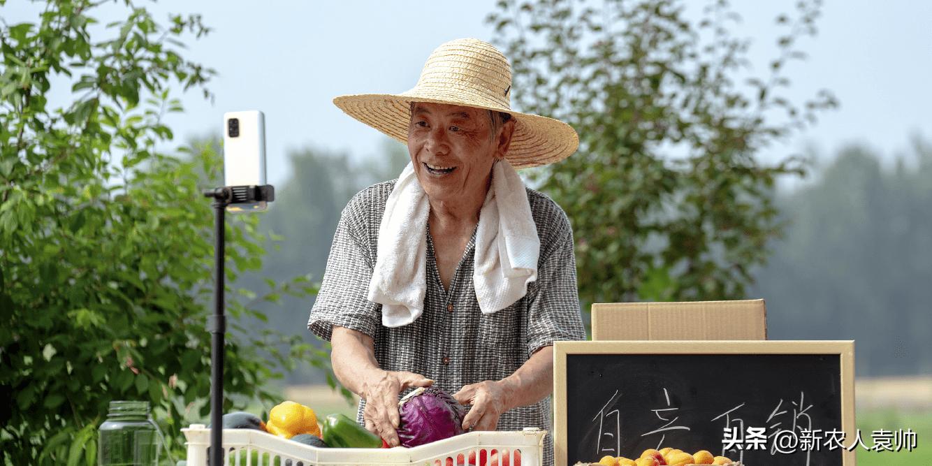 乡村振兴搭上电商快车,走进电商助农探寻乡村振兴之路