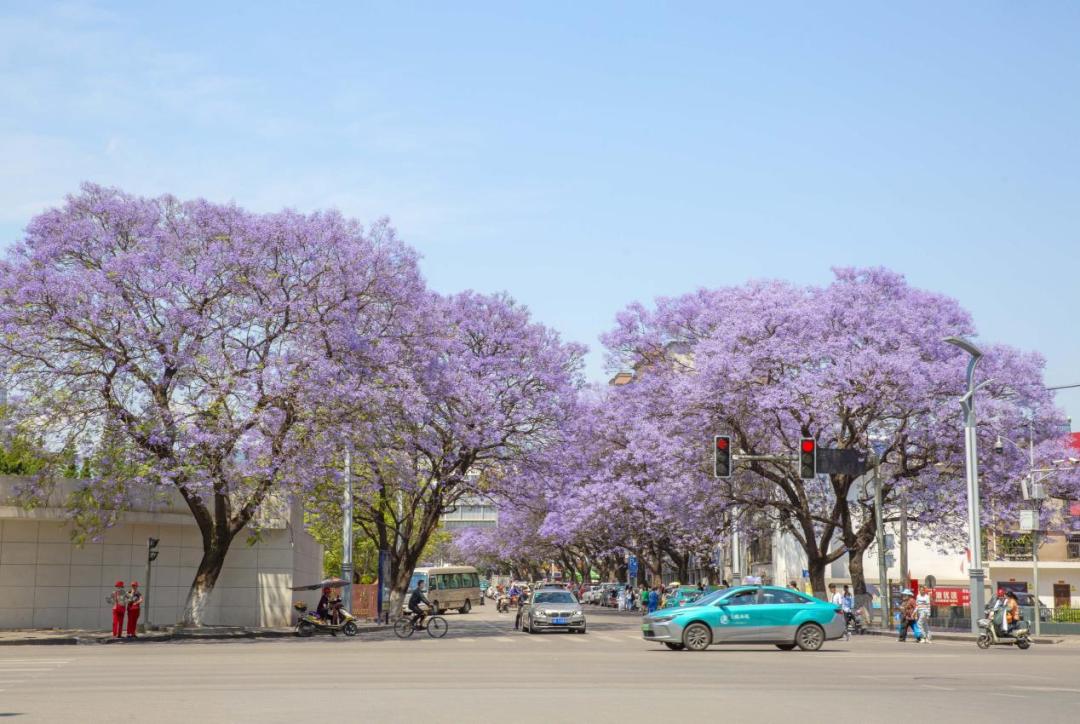 西昌五一旅游攻略学生,五一假期好去处推荐西昌