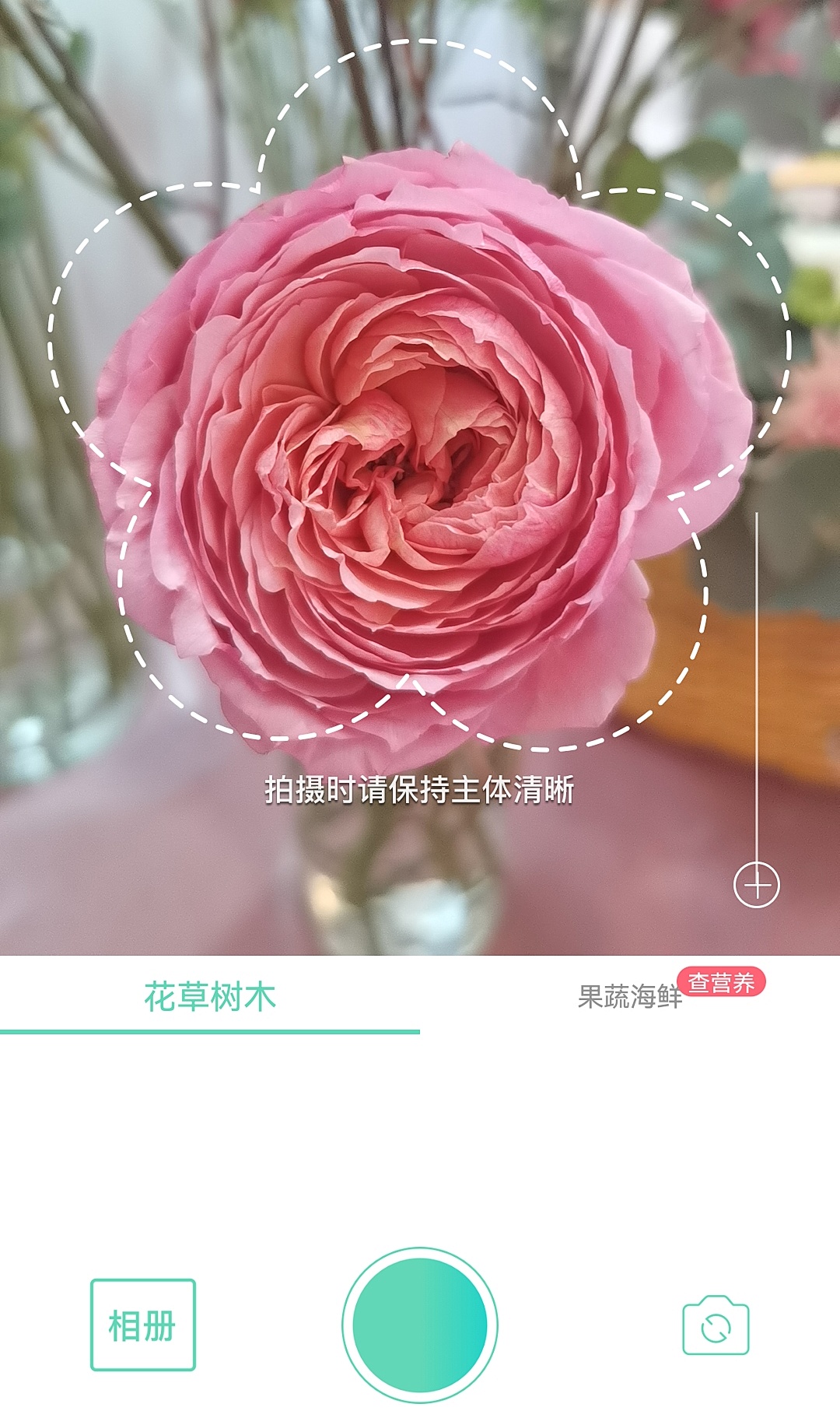 花艺推荐app,马克花艺学习小课堂