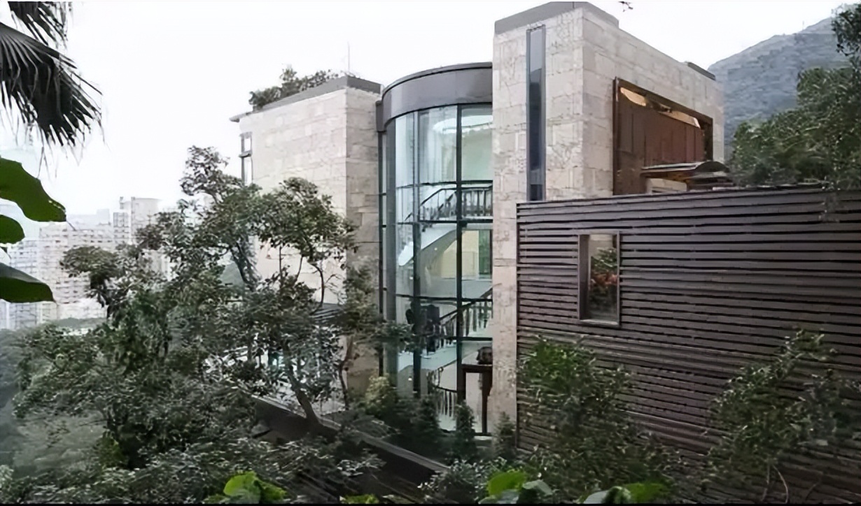 港姐袁咏仪包包,袁咏仪最贵的爱马仕包