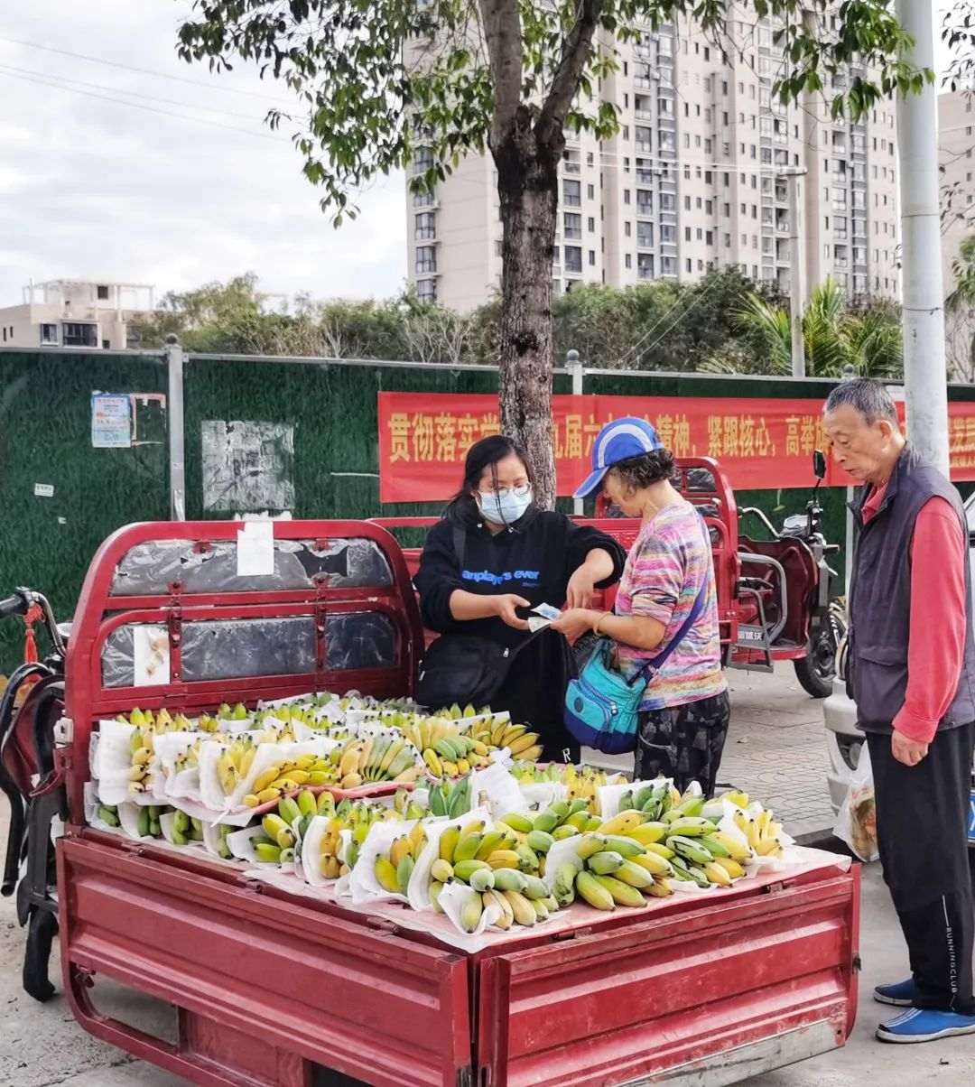 旅居海南陵水,旅居海南掠影