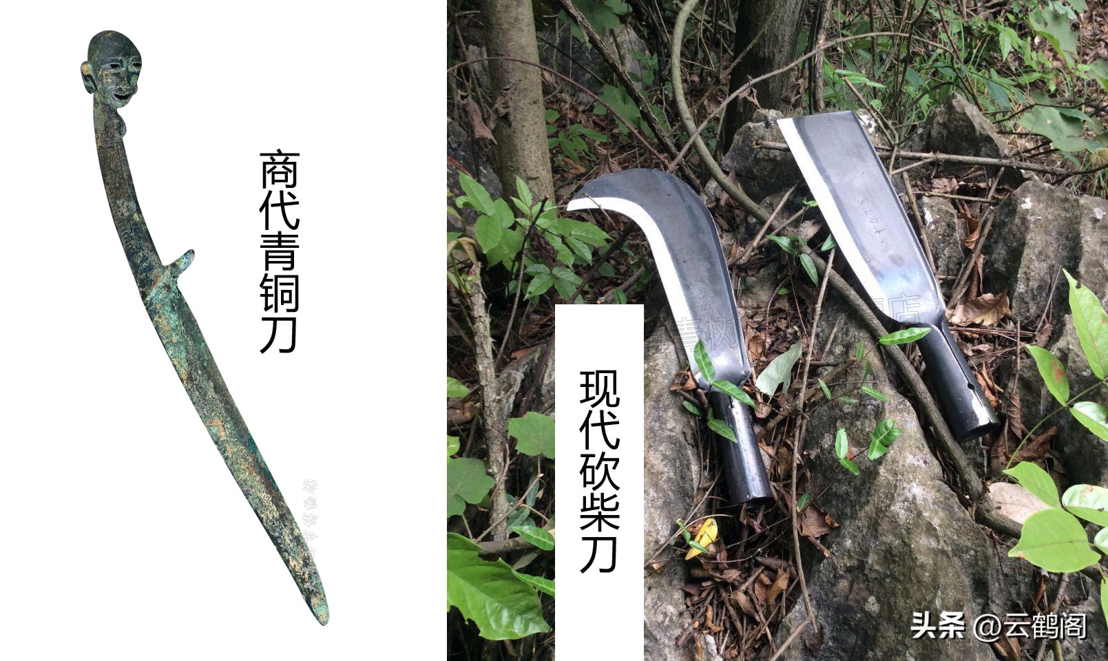 汉字刘字的来历,刘字的来源简介简单