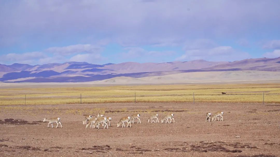 自驾穿越西藏最危险的路,4800公里川藏线穿越