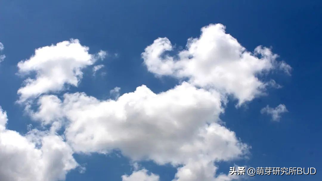 坚持学画画的好处,孩子学画画没有捷径只有坚持