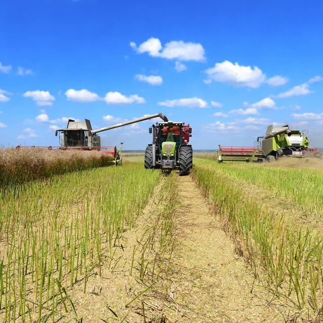 俄罗斯禁止农产品出口影响有多大,俄罗斯去年向我国出口多少农产品