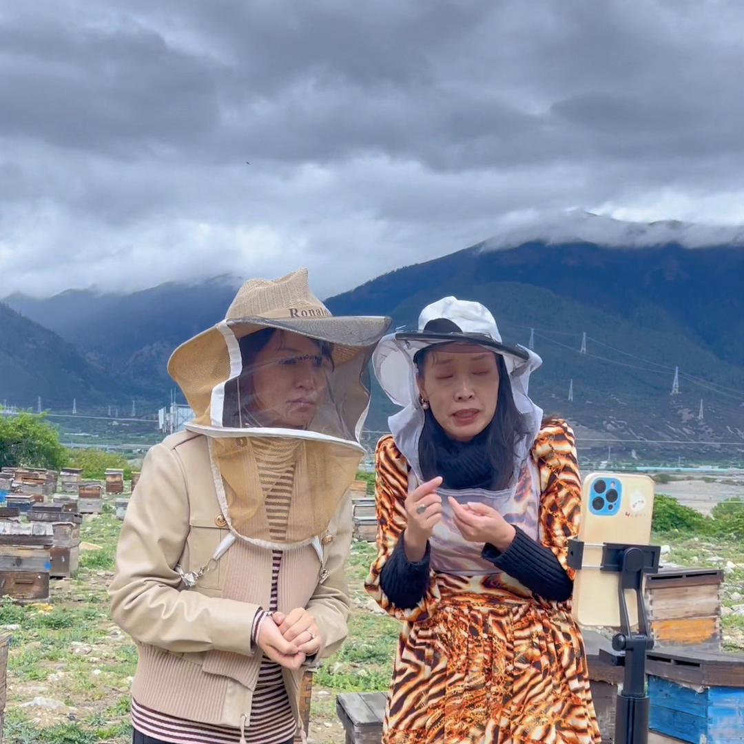 蜂蜜和益母草蜜哪个好喝,益母草蜂蜜的作用与功效图片