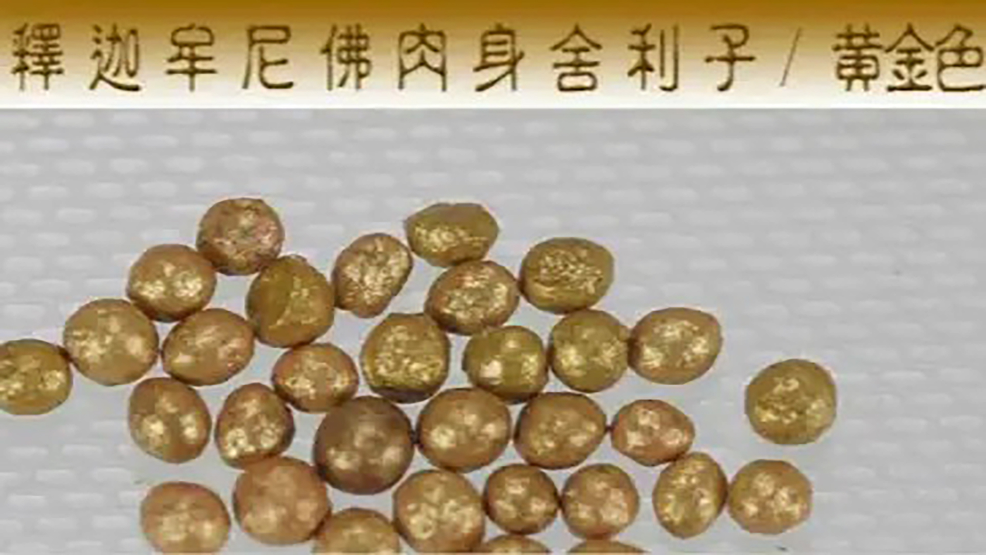 佛祖舍利之谜,佛祖指骨舍利台湾